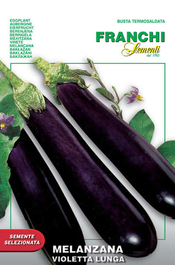 Eggplant 'Violetta Lunga'