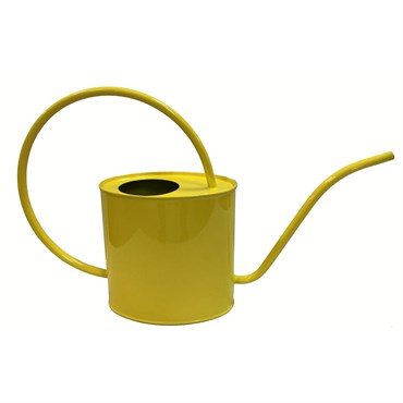 Metal Watering Can: 2 Liter Oval