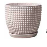 Large Indoor Essex Dotted Pot