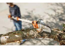 STIHL HTA 135 Battery 160" Pole Pruner