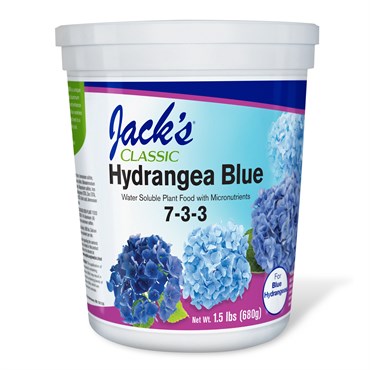 Jacks Hydrangea Blue 7-3-3