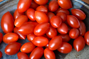 Tomato 'Sugary'