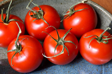 Tomato 'Patio'