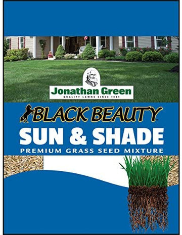 Black Beauty Sun & Shade Grass Seed