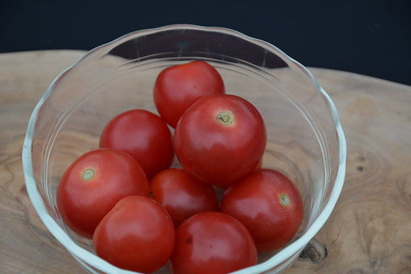 Tomato 'Husky Red Cherry'