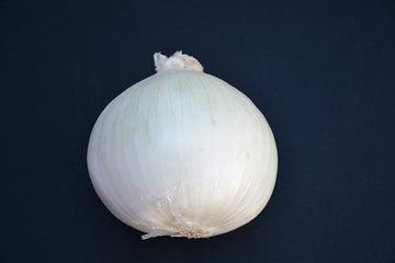 Onion 'White Sweet Spanish'