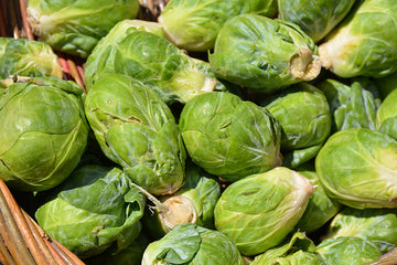 Brussels Sprouts 'Jade Cross'