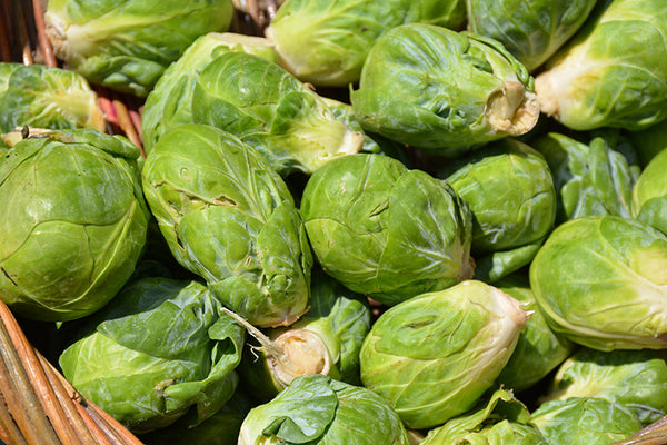 Brussels Sprouts 'Jade Cross'