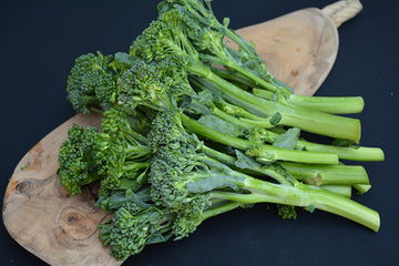 Broccolini 'Aspabroc'