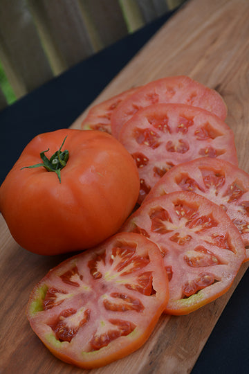 Tomato 'Supersteak'