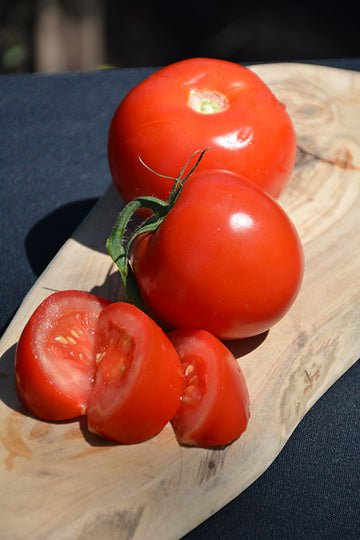 Tomato 'Arkansas Traveler'