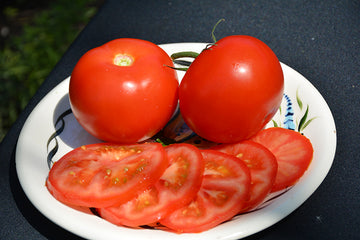 Tomato 'Big Boy'