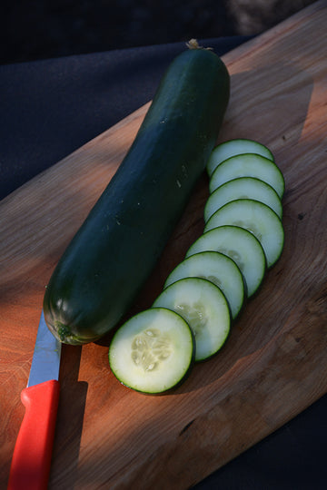 Cucumber 'Salad Bush'