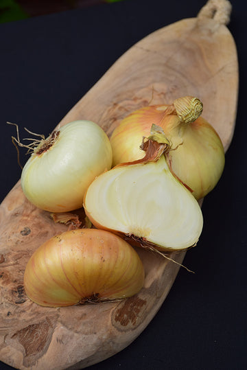Onion 'Vidalia'