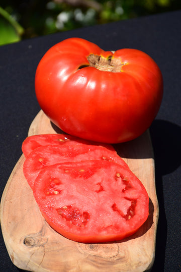 Tomato 'Brandywine Red'