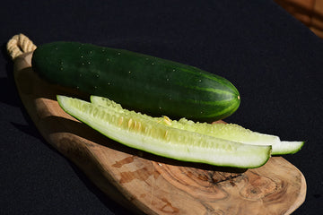 Cucumber 'Marketmore 76'