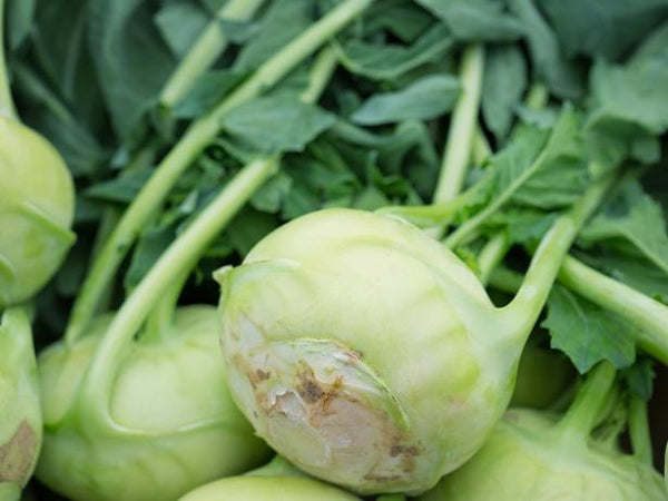 Kohlrabi