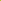 Golden Creeping Jenny