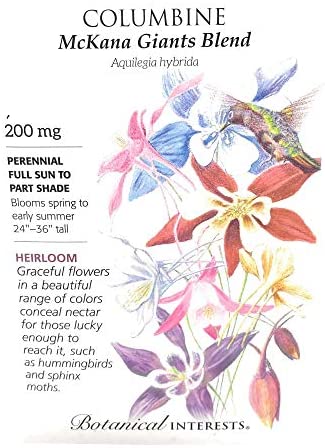 Columbine 'McKana Giants Blend'