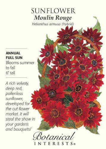 Moulin clearance rouge sunflower