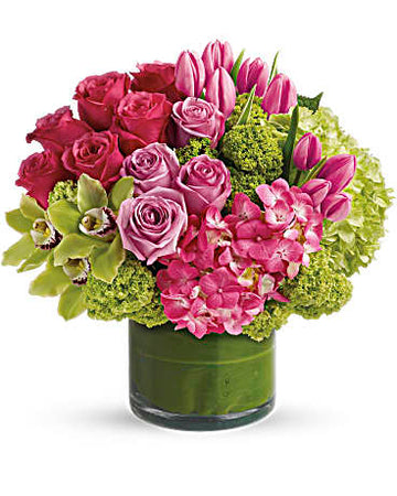 Teleflora New Sensations