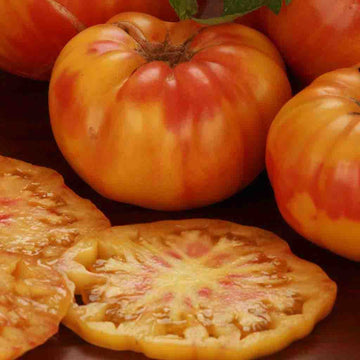 Tomato 'Old German'