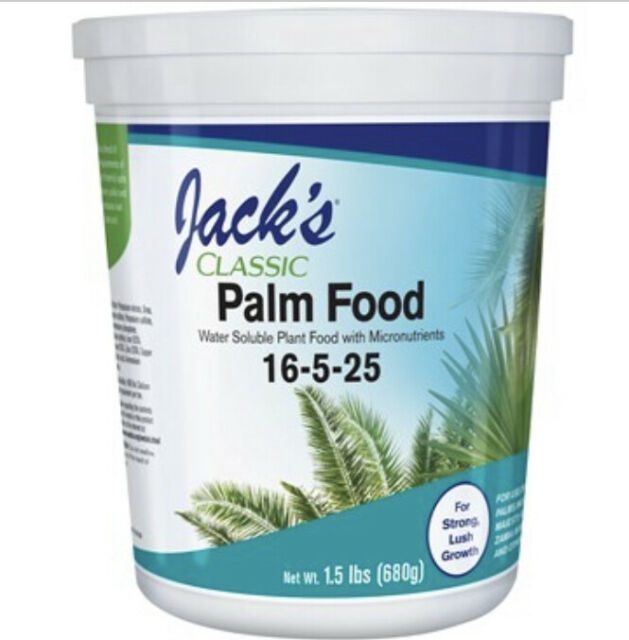 palm tree plant food Jacks Palm Food 16-5-25