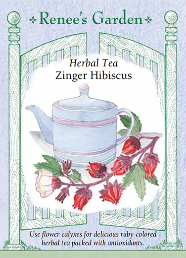 Hibiscus 'Zinger Herbal Tea'