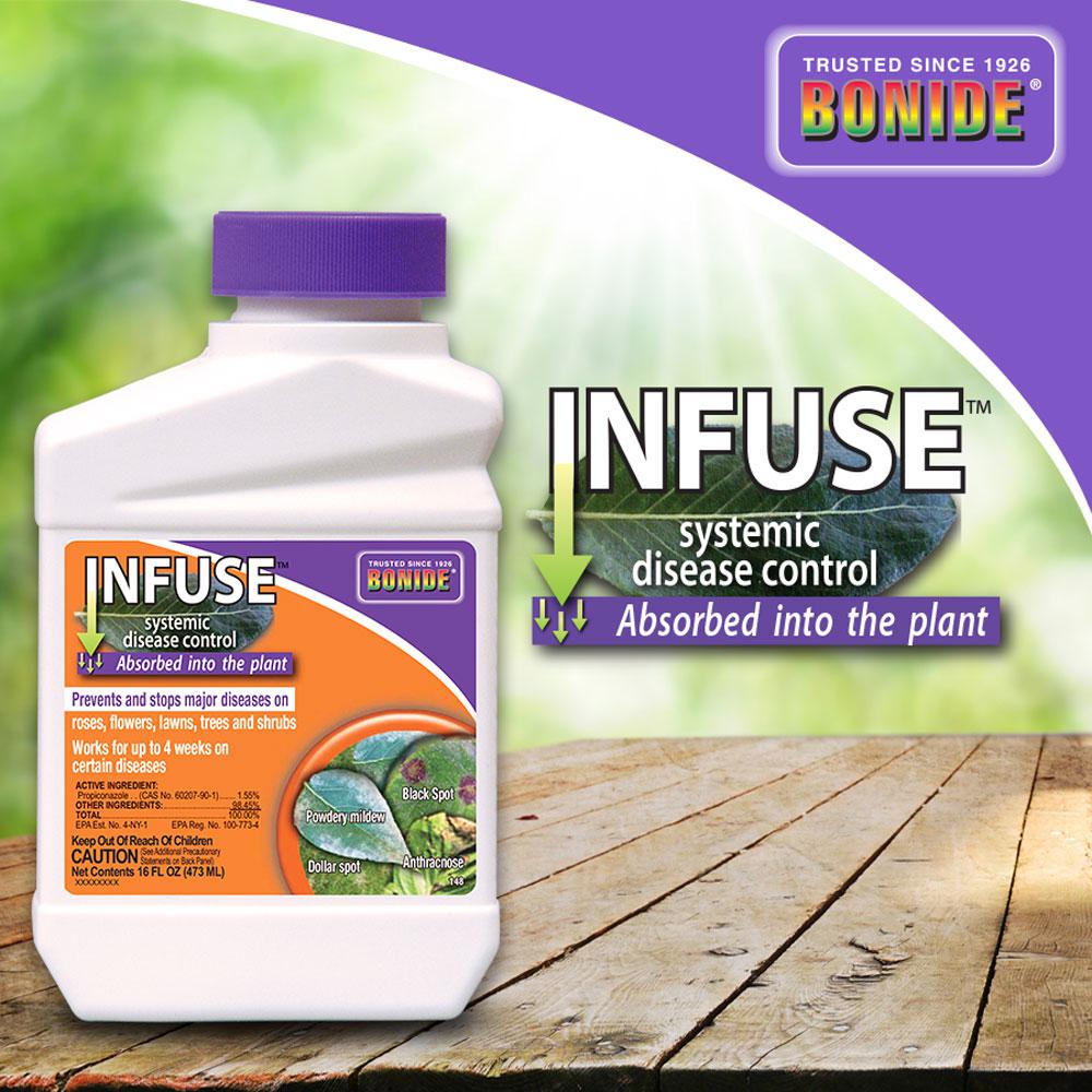 systemic fungicide for succulents Bonide Infuse Systemic Disease Control Concentrate