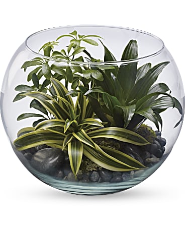 Sphere of Tranquility Terrarium by Teleflora