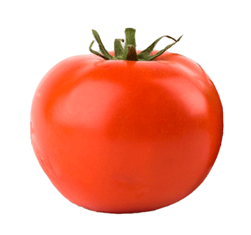 Tomato 'Super Fantastic'