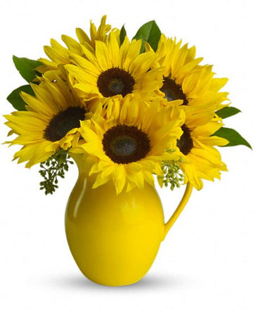 Teleflora Sunny Day Pitcher of Sunflowers