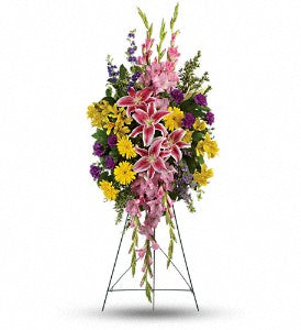 teleflora peace lily Teleflora Rainbow Of Remembrance Spray