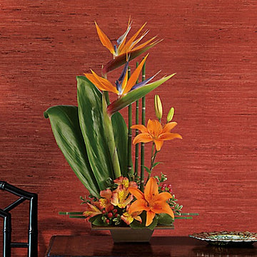 Teleflora Exotic Grace