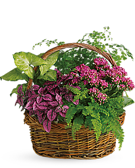 Teleflora Secret Garden Basket | Pesches Flowers & Garden Center