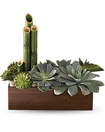 peace by peace succulents Peaceful Zen Garden by Telefllora