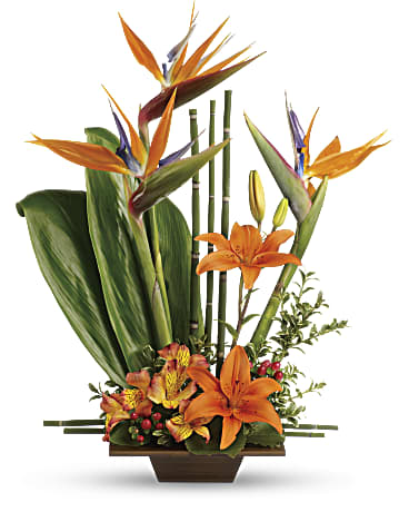 Teleflora Exotic Grace Bouquet