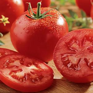 Tomato 'Celebrity'