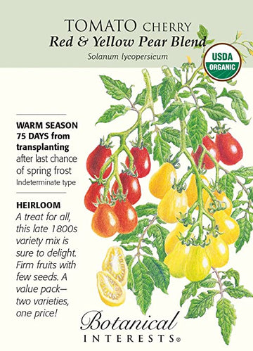 Tomato 'Red & Yellow Pear'