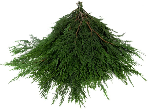 Christmas Fresh Greens/Bunches