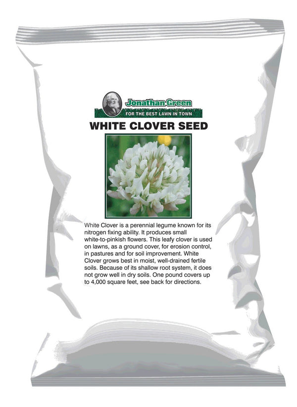 planting white clover seed White Clover Seed
