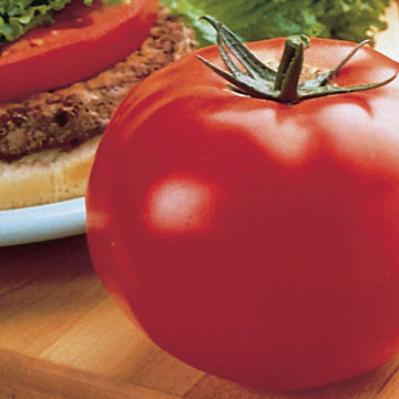 Tomato 'Whopper'