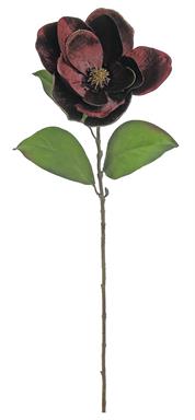 Stem: 29" Magnolia