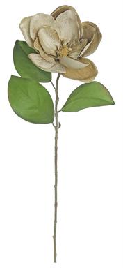 Stem: 29" Magnolia