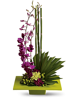 Teleflora Zen Artistry