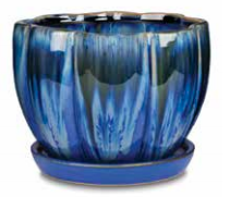 Indoor Petal Bowl Pot