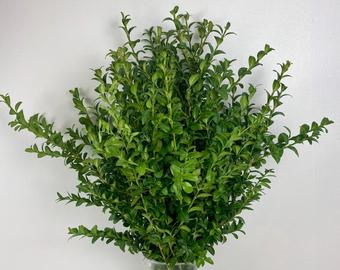 Christmas Fresh Greens/Bunches