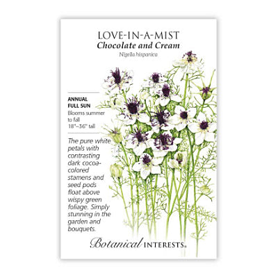 Love-in-a-Mist 'Chocolate and Cream'