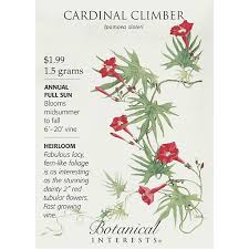 Cardinal Climber