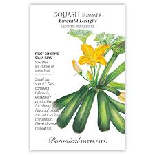 Squash Summer 'Emerald Delight'